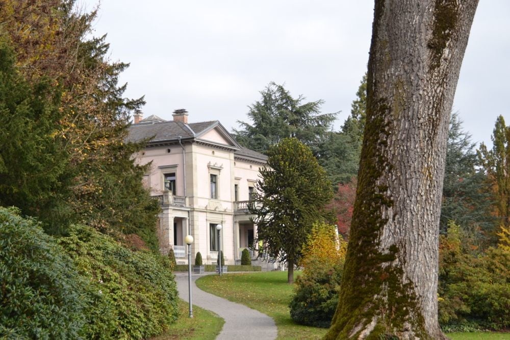 Die Villa Villette im gleichnamigen Park am See ist der beliebteste Hochzeitsort in Cham.